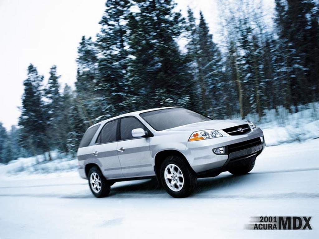 auto_008.jpg