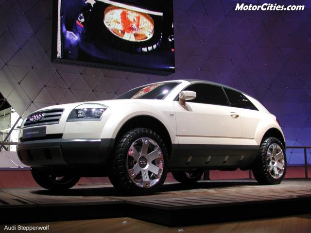 AUDI STEPPEN WOLF WHITE.jpg