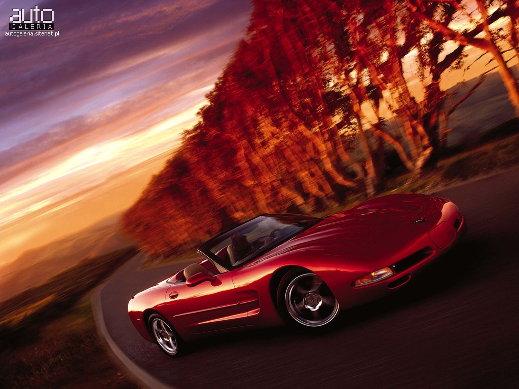 chevrolet_corvette_convertible_2002_01_m_1_.jpg