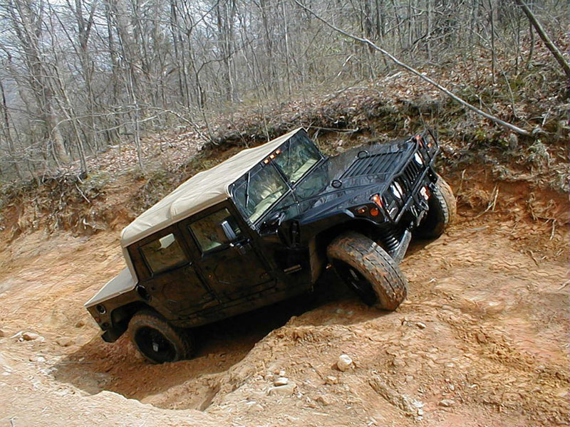 Hammer 800_4_h1.jpg