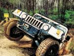 HAMMER_H1_1024_10.jpg