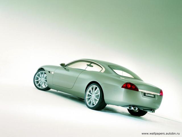 jaguar_023.jpg