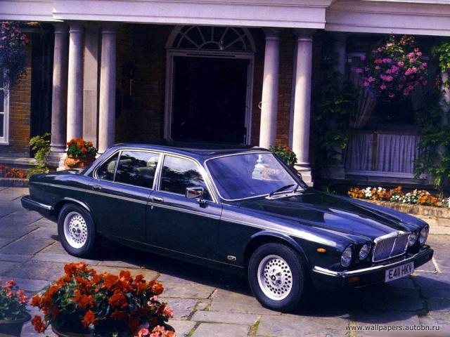 jaguar_029.jpg