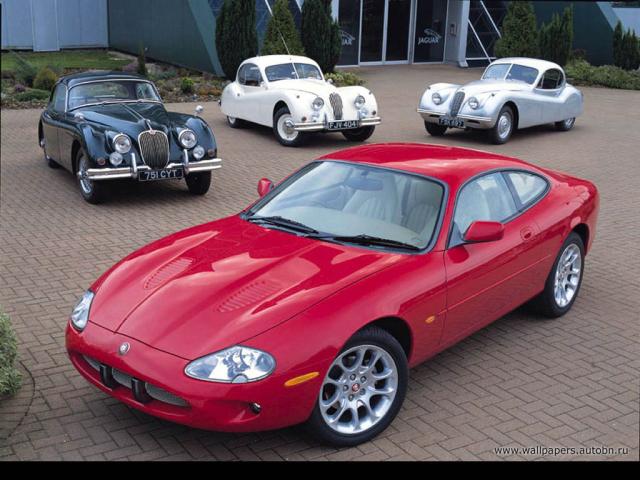 jaguar_036.jpg