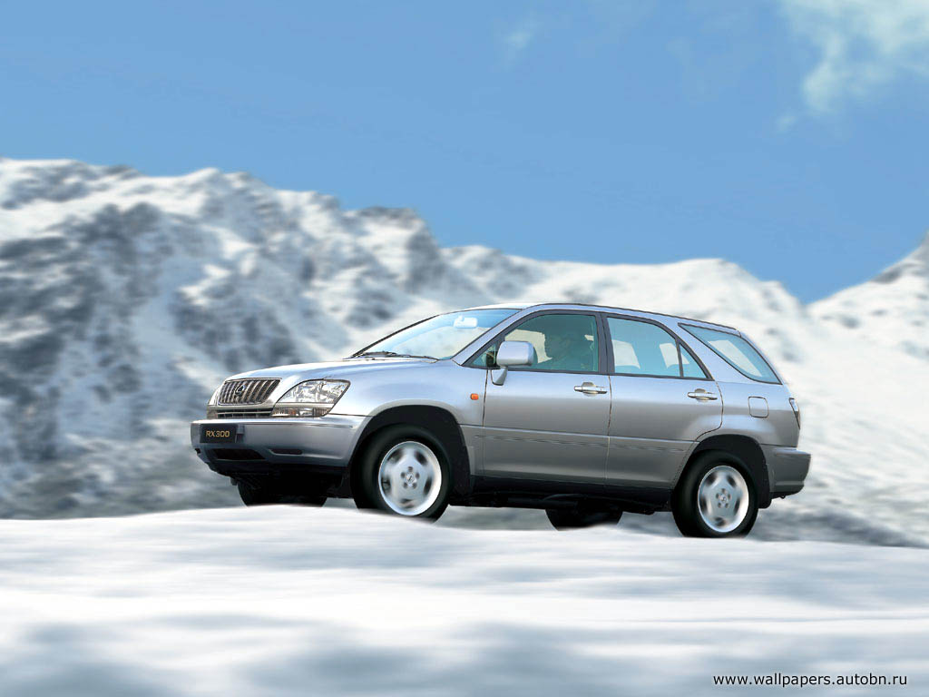 lexus_008.jpg
