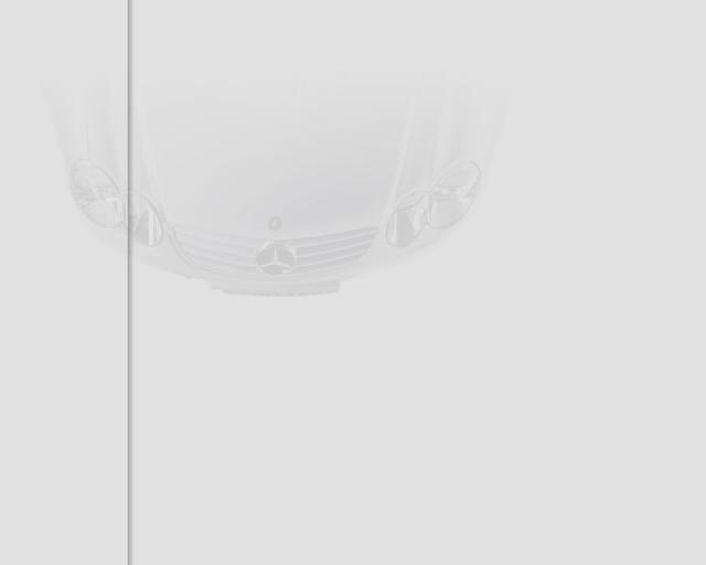 Mercedes-Benz  back001_001.jpg