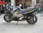 cbr1l.jpg