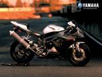 MOTO 270_1024.jpg