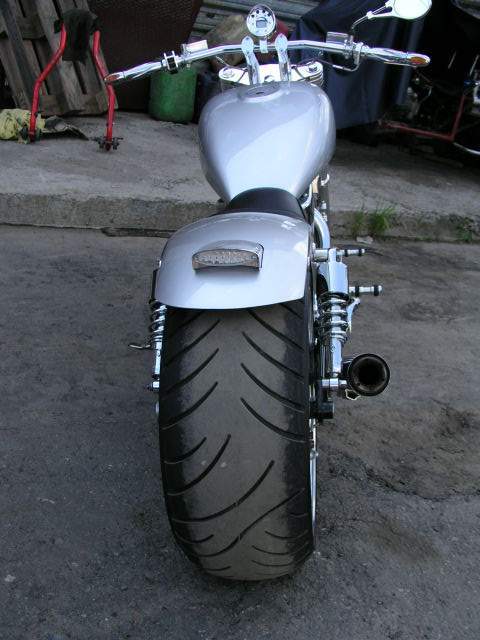 suzithund1l.jpg