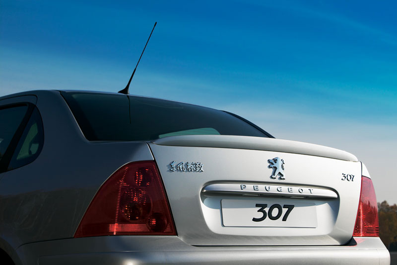 Peugeot 307 ___ ______1.jpg