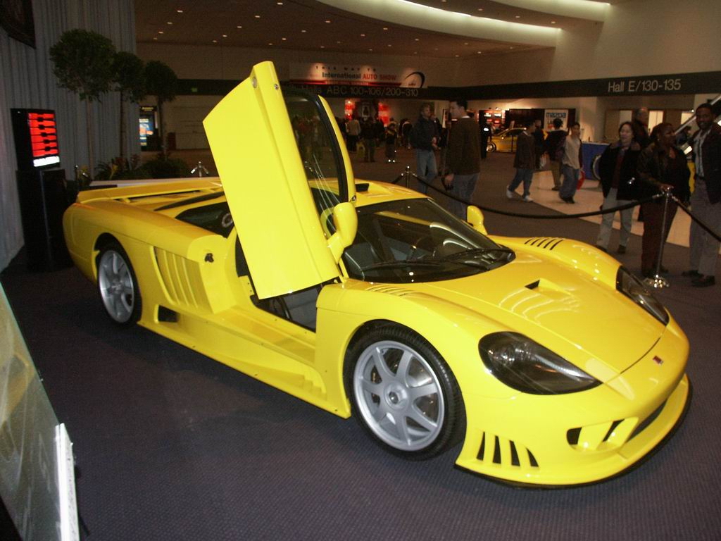 Saleen_1024_12.jpg