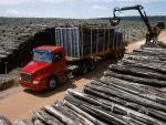 trucks_volvo_037.jpg