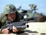 marine-duck-1280.JPG