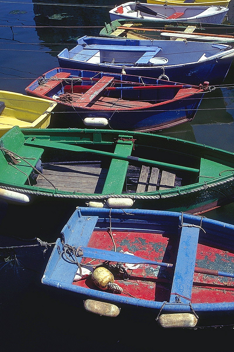 Multicolor boats on the water
