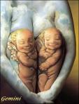 Sign of the zodiac - Gemini