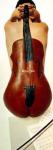 Violin painted on the female back