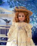 Doll see on the bird in the cage
