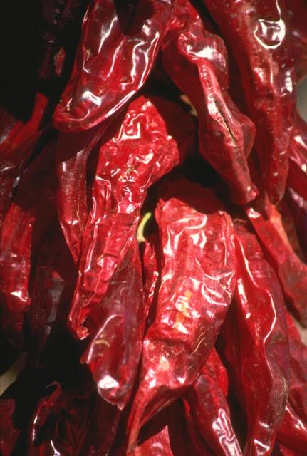 The image with a sheaf of dried pepper