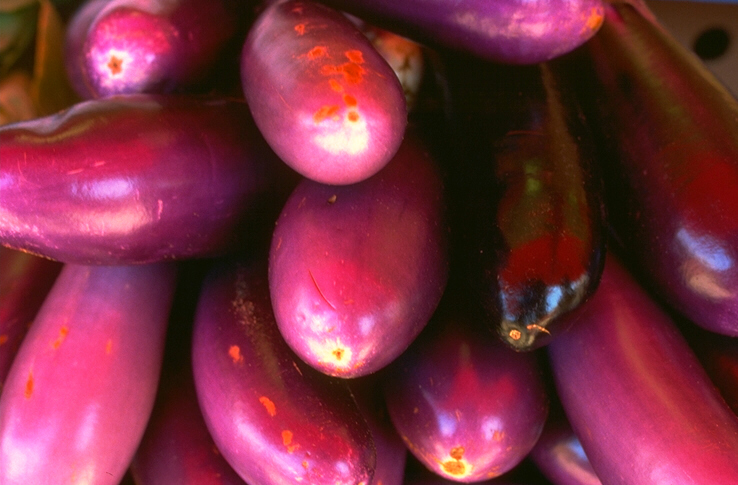 Photo of lilac eggplants