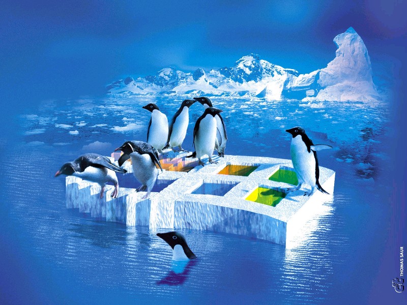 Amusing picture of a penguin logo on drifting windows xp