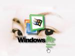 Windows_20.JPG