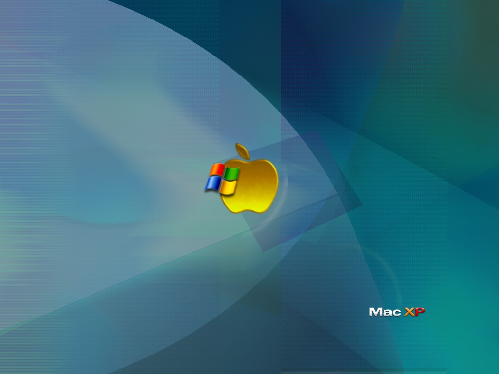 Windows_33.JPG