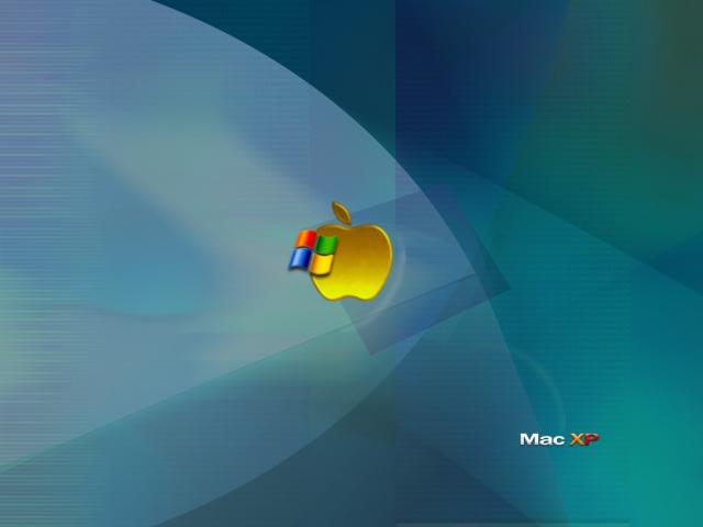 Windows_33.JPG