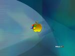 Windows_33.JPG