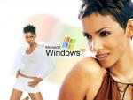 Windows_40.JPG
