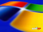 Windows_51.JPG