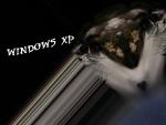 Windows_73.JPG