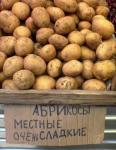 ad apricots local very sweet