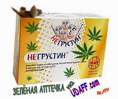 фото упаковки таблеток негрустин