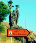 photo signpost