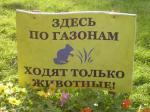 photos of signs on the lawns here go only animals