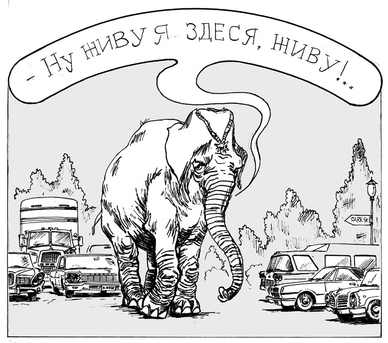 Слон и моська рисунок карандашом