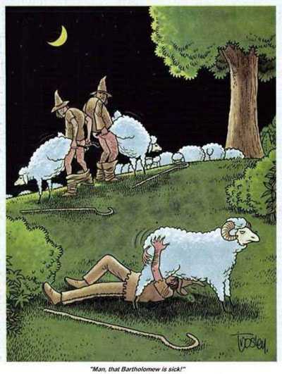 142.JPG