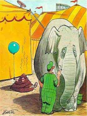bad_elefant.JPG