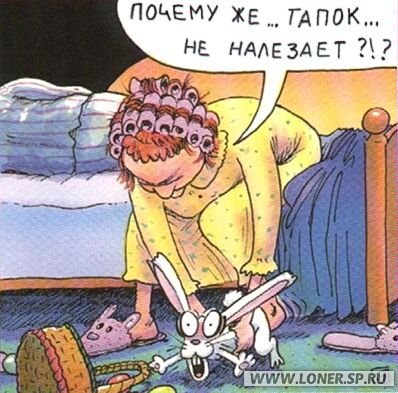 COM013.JPG