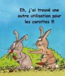 LAPINS2.JPG