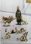 WOLF.JPG