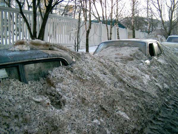 0401_parking.jpg
