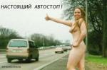 avtostop.jpg
