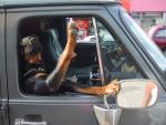 cool photo of the dog passenger