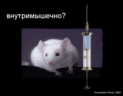 укол внутримышечный