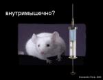 intramuscular injection