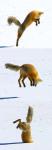 ice fishing
