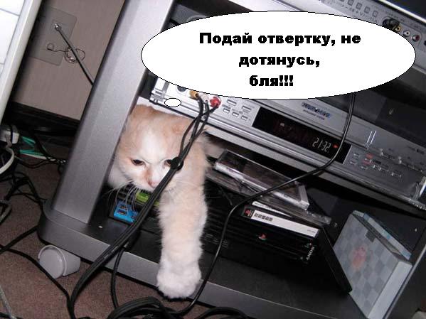 подай отвертку. не дотянусь
