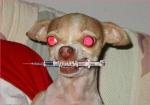 overdose