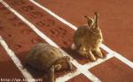 unequal battle